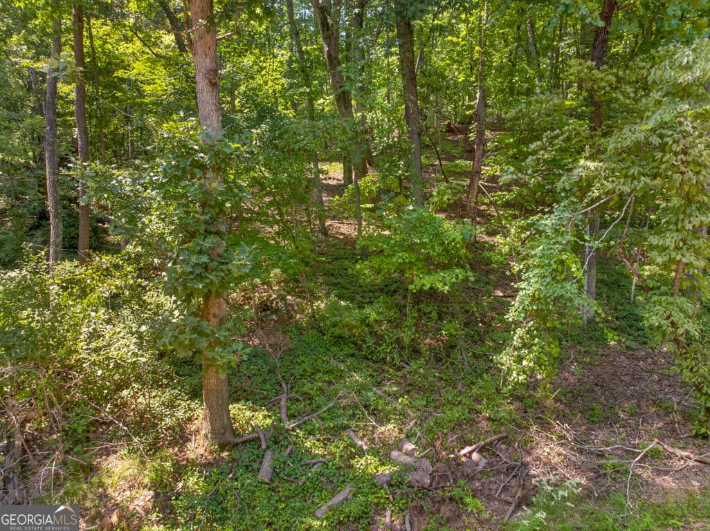 residential lot for sale at 0 Waters Edge Drive, Clarkesville, GA 30523 — photo 4