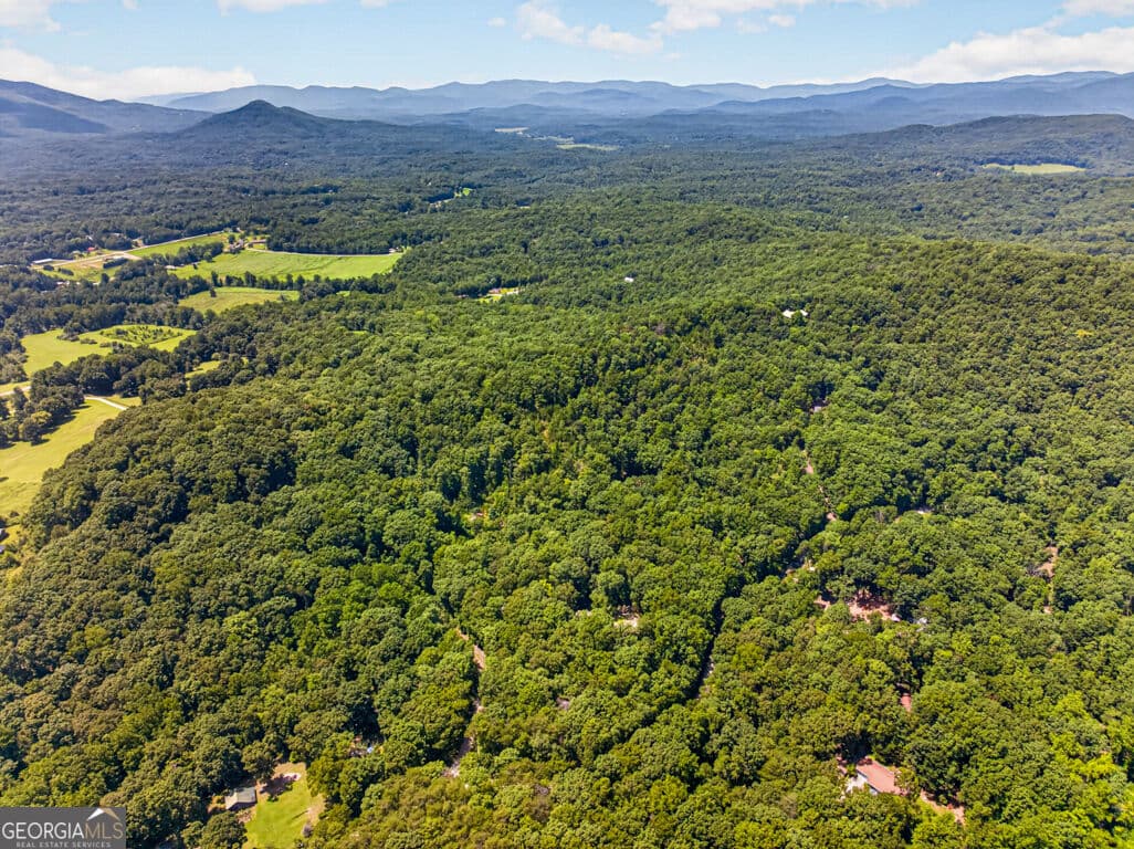 residential lot for sale at 0 Waters Edge Drive, Clarkesville, GA 30523 — photo 8