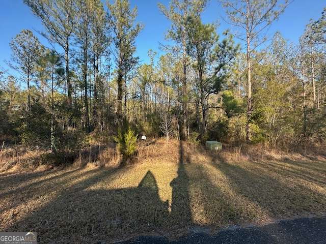 0 O P Lane, White Oak, GA 31568 — most recent listing photo