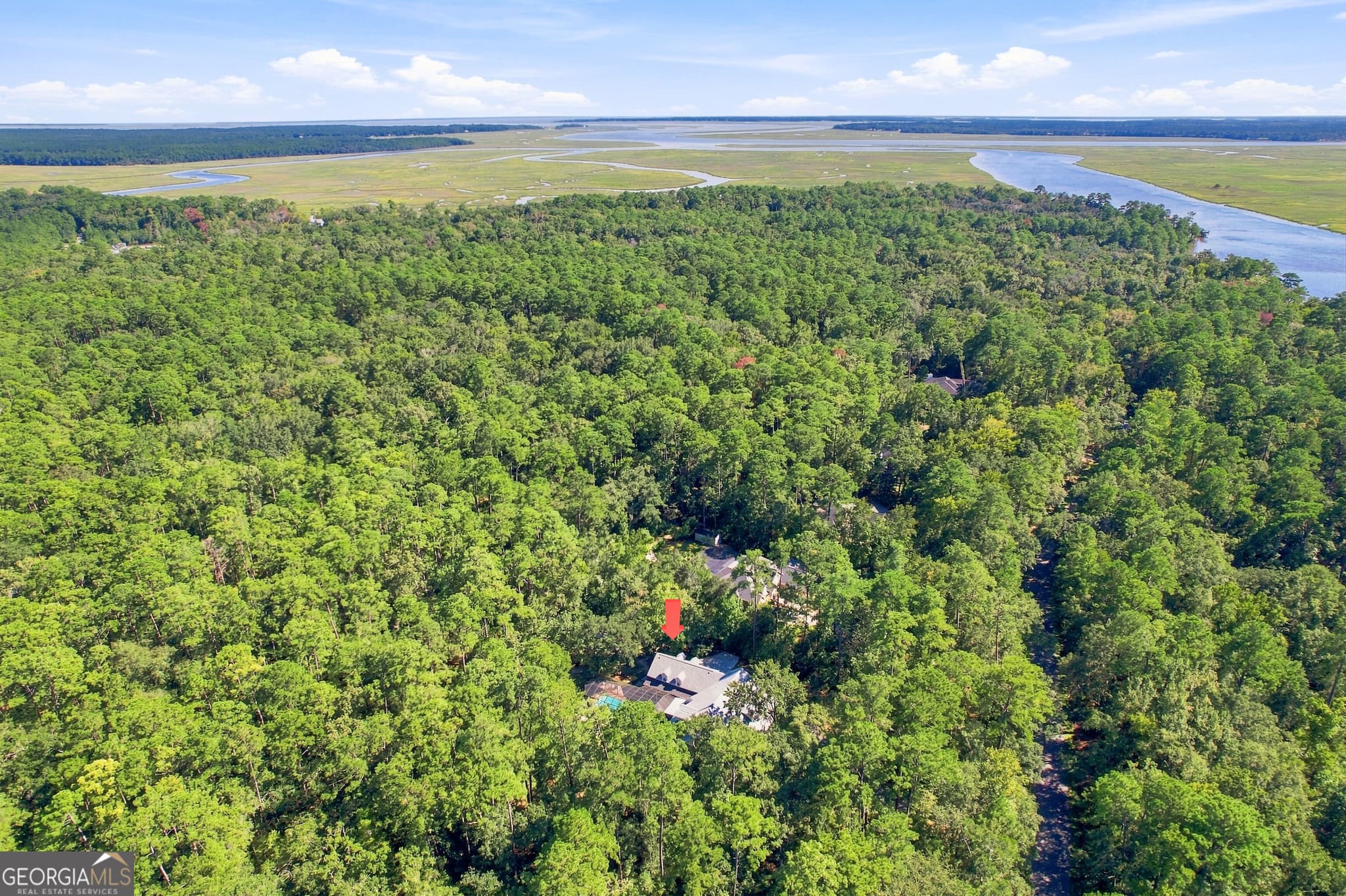 4 bedroom, 5.5 bathroom, 6,468 sq ft single family residence for sale at 233 Buckland Hall Road, Richmond Hill, GA 31324 — photo 4