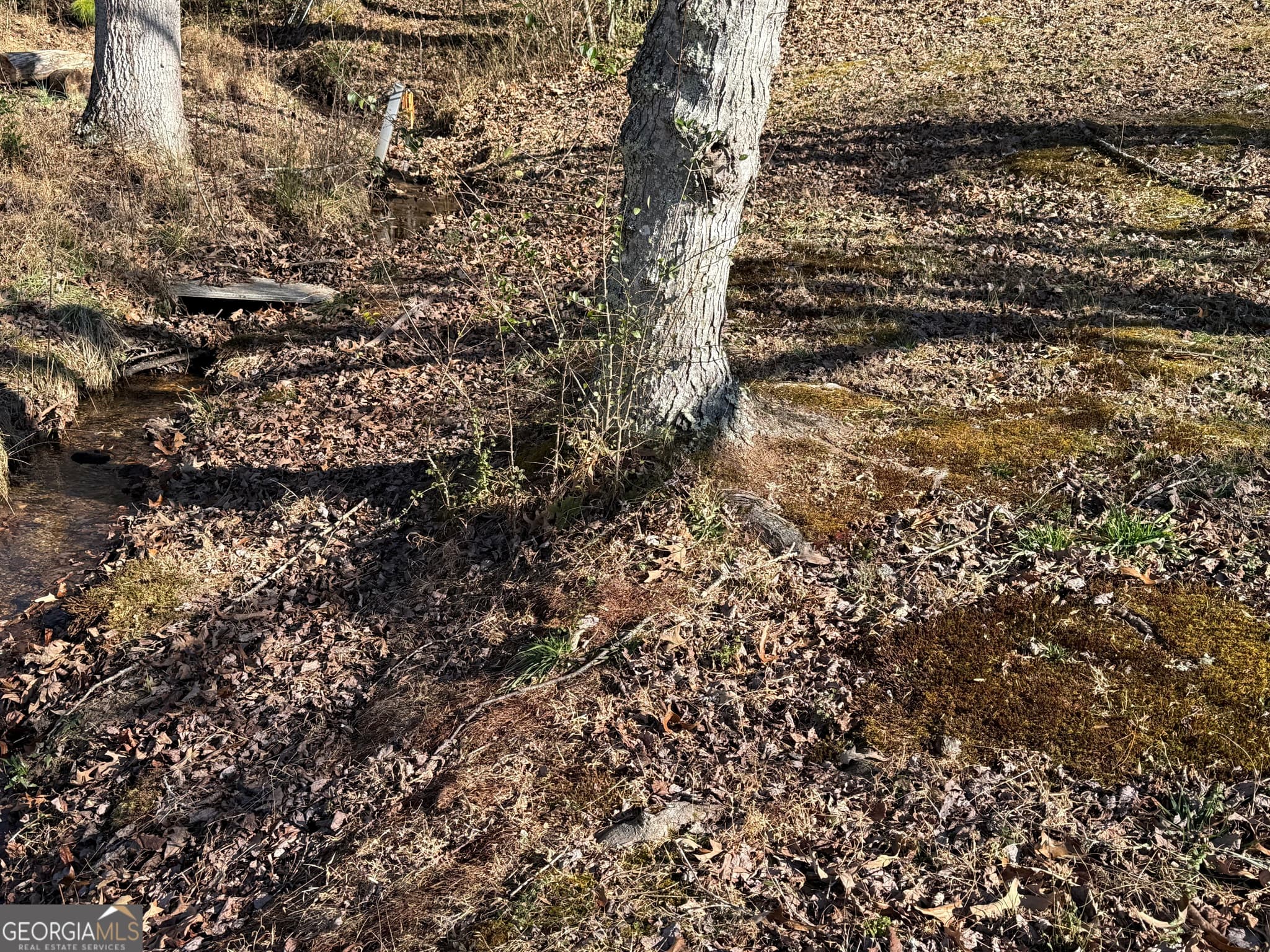 residential lot for sale at LOT 5 Victoria Woods Drive, Hiawassee, GA 30546 — photo 8