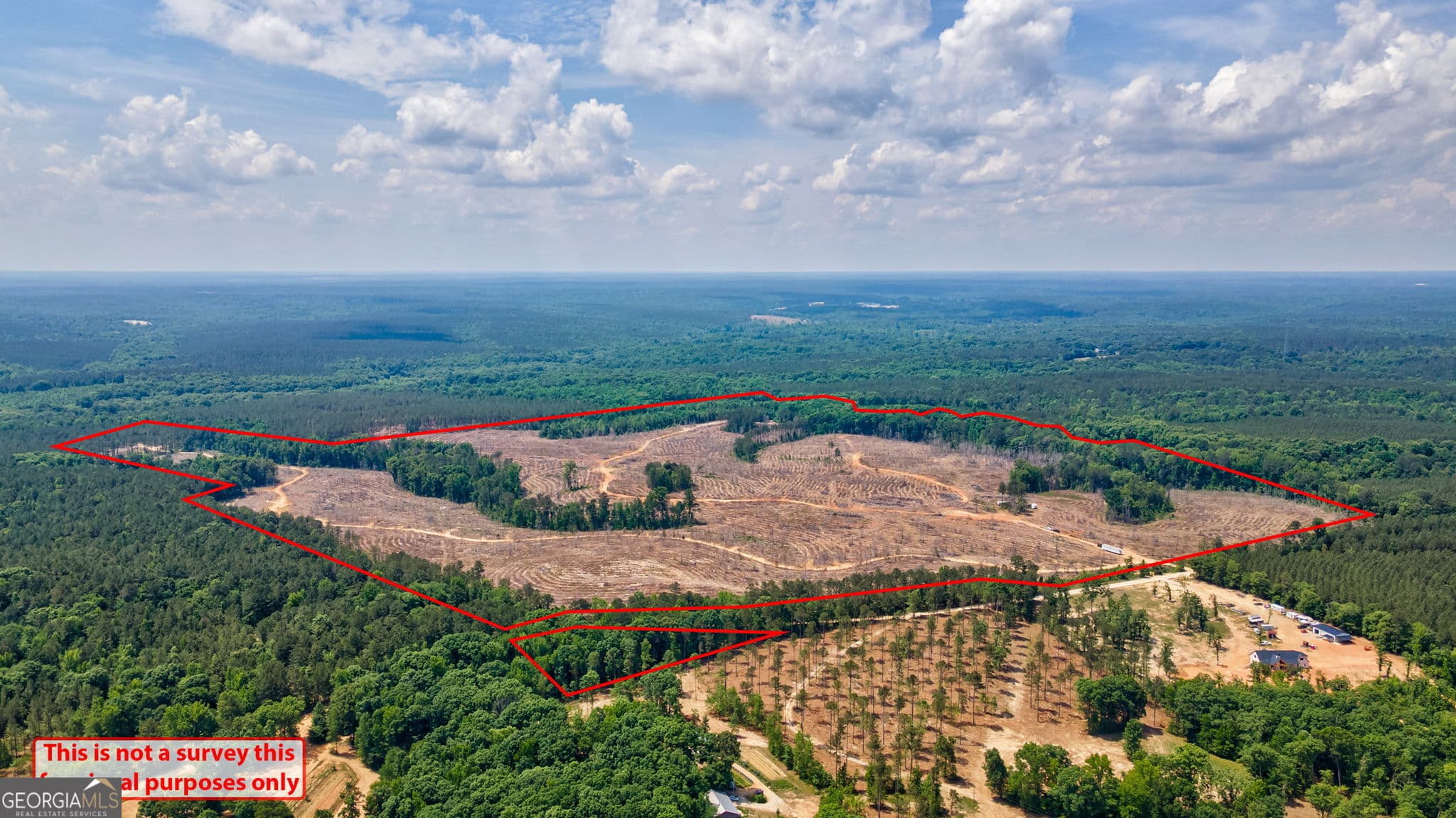 agriculture for sale at 0 Gene Smith Road, Carlton, GA 30627 — photo 2
