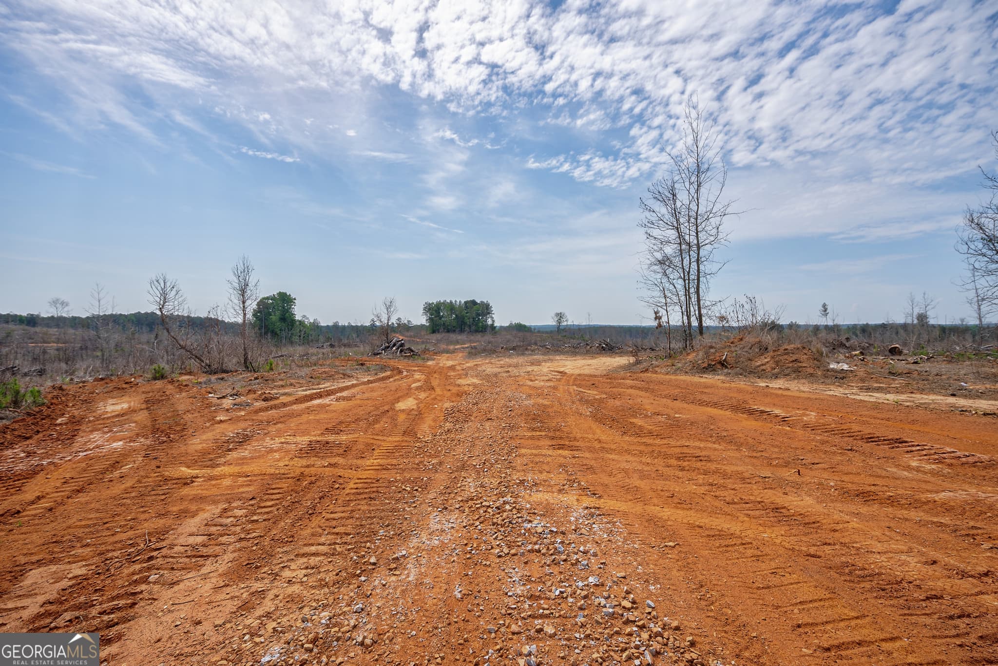 agriculture for sale at 0 Gene Smith Road, Carlton, GA 30627 — photo 6