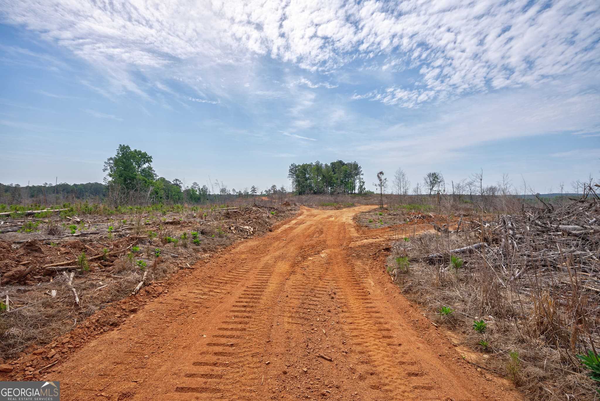 agriculture for sale at 0 Gene Smith Road, Carlton, GA 30627 — photo 7