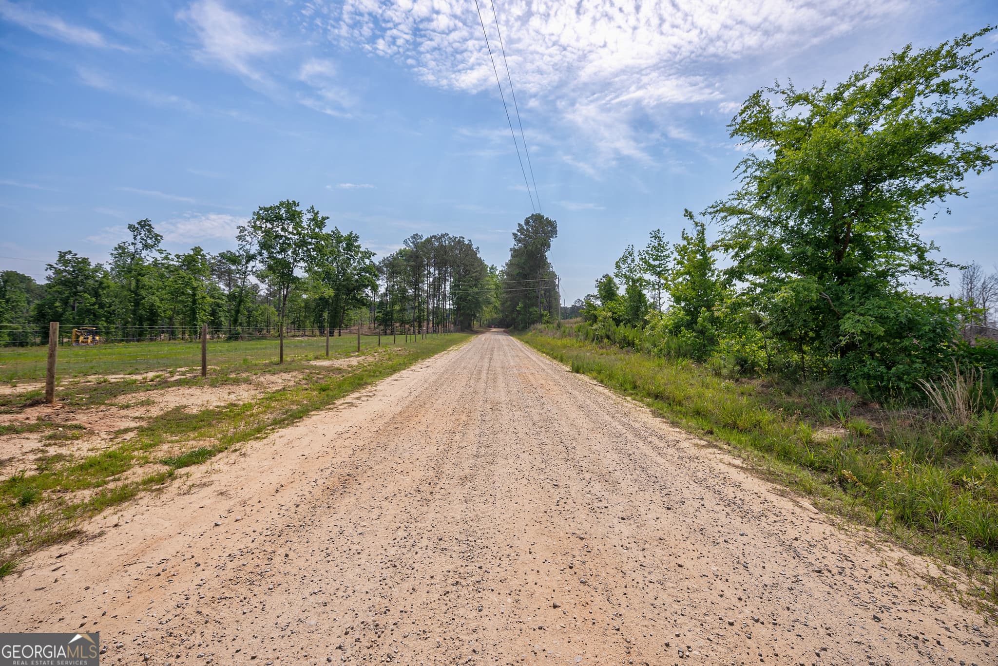 agriculture for sale at 0 Gene Smith Road, Carlton, GA 30627 — photo 3