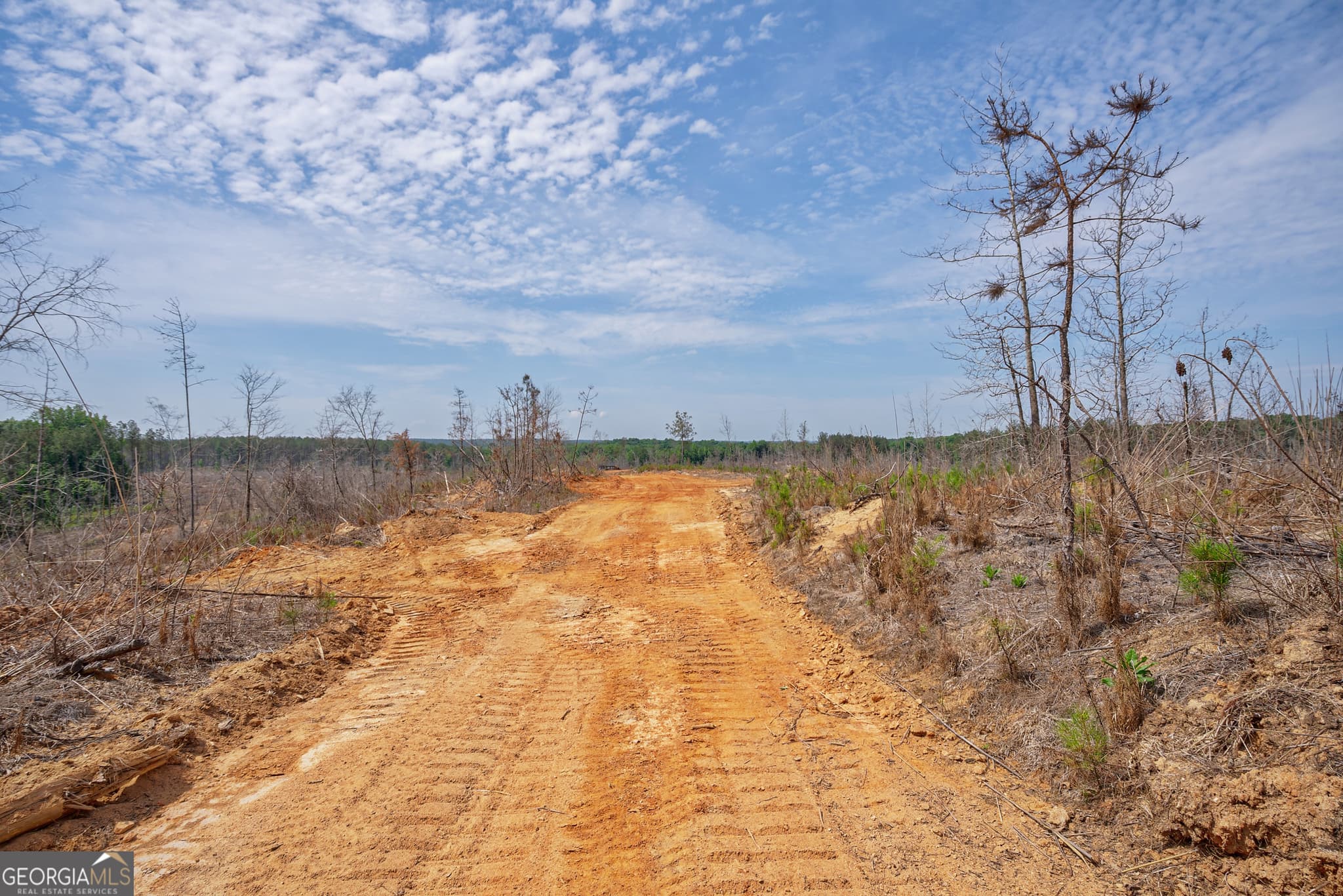 agriculture for sale at 0 Gene Smith Road, Carlton, GA 30627 — photo 9