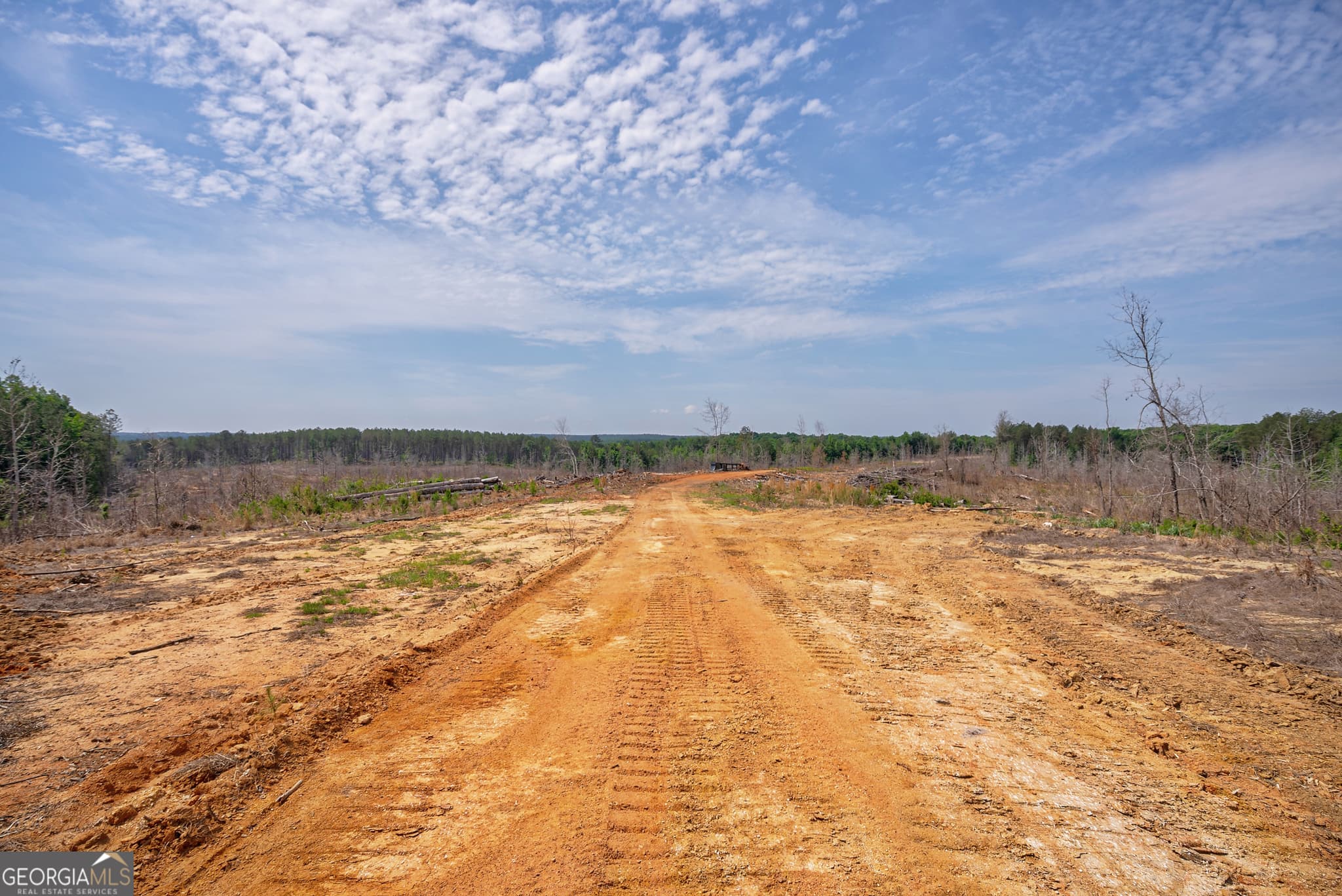 agriculture for sale at 0 Gene Smith Road, Carlton, GA 30627 — photo 10