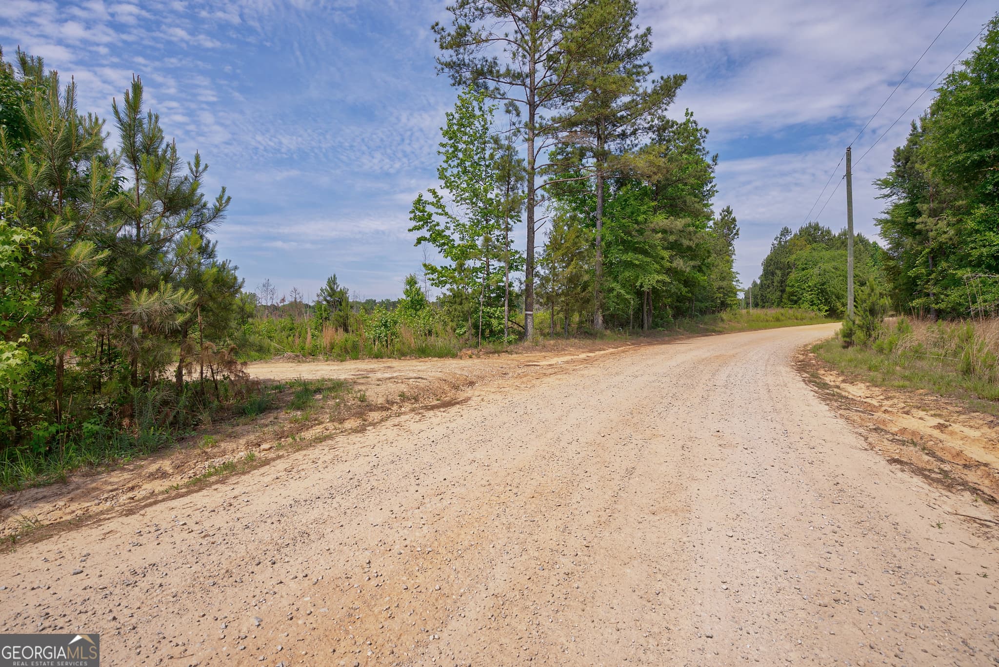 agriculture for sale at 0 Gene Smith Road, Carlton, GA 30627 — photo 4
