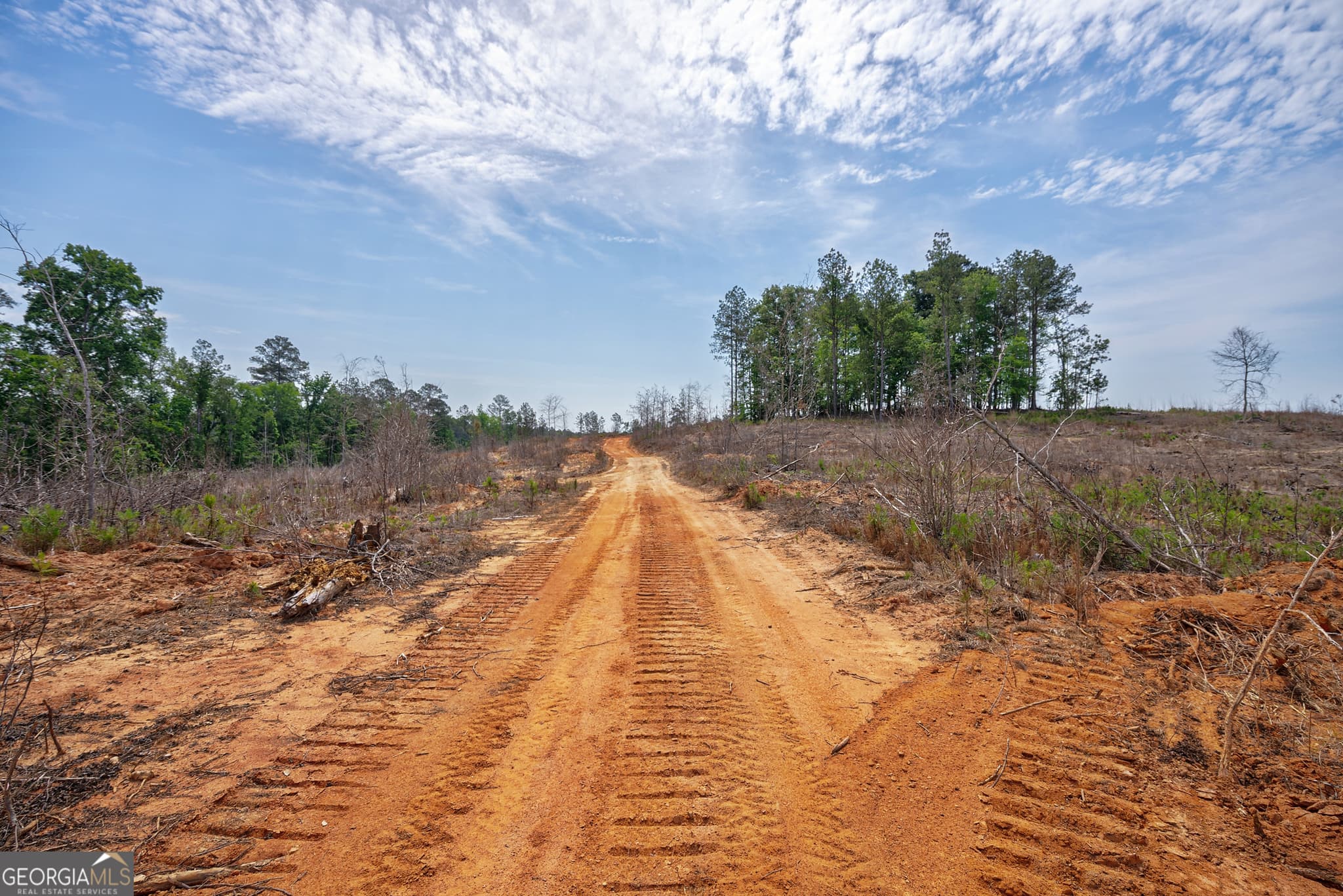 agriculture for sale at 0 Gene Smith Road, Carlton, GA 30627 — photo 8