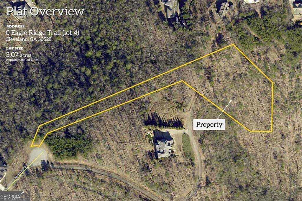 unimproved land for sale at 0 Eagle Ridge Trail LOT 4 & LOT 5, Cleveland, GA 30528 — photo 1 of 41