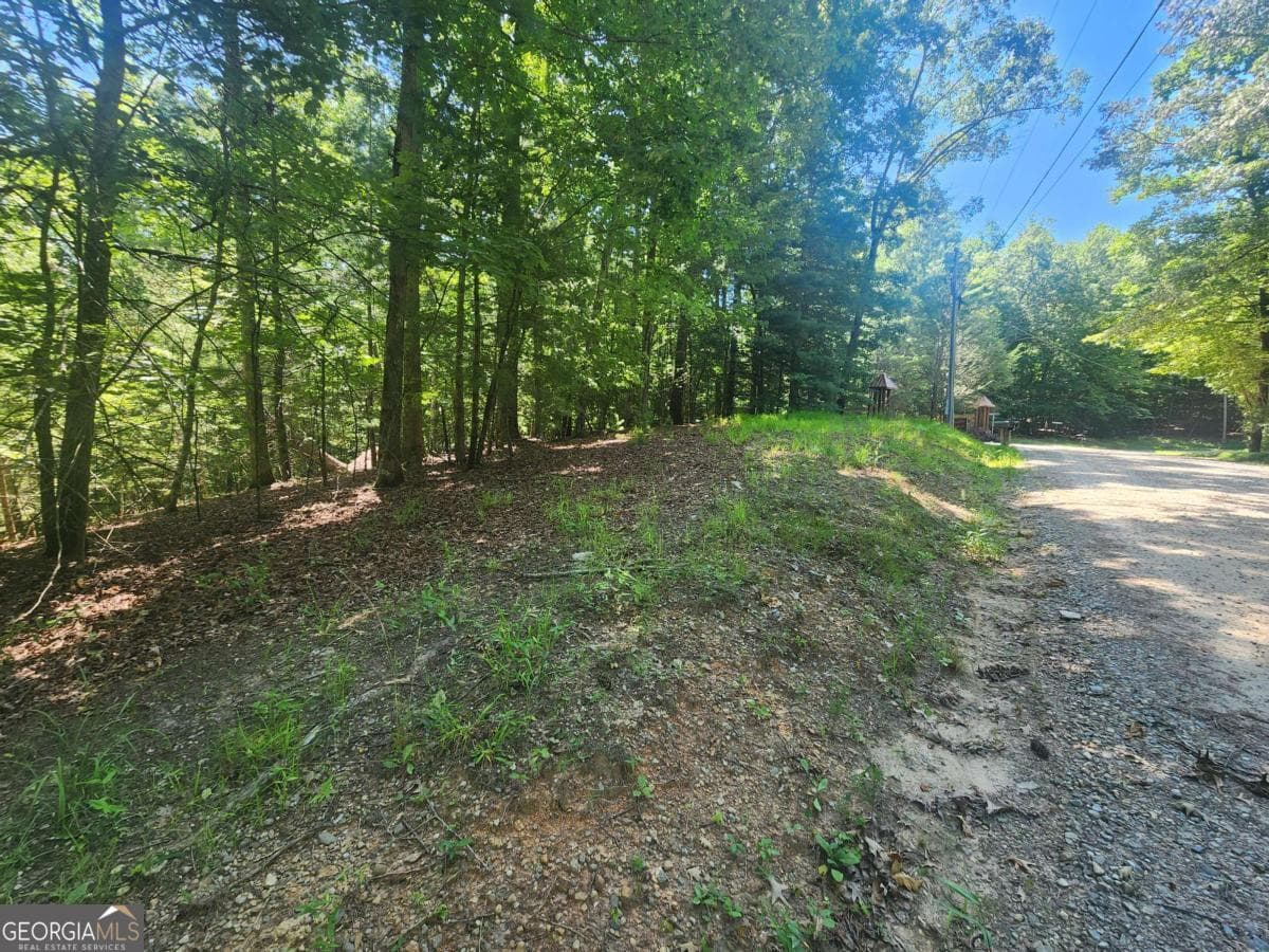 residential lot for sale at LOT 3 Meadow View Drive 3, Morganton, GA 30560 — photo 2