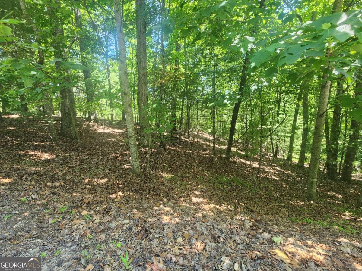 residential lot for sale at LOT 3 Meadow View Drive 3, Morganton, GA 30560 — photo 6
