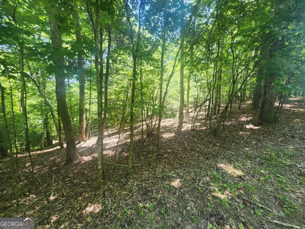 residential lot for sale at LOT 3 Meadow View Drive 3, Morganton, GA 30560 — photo 3