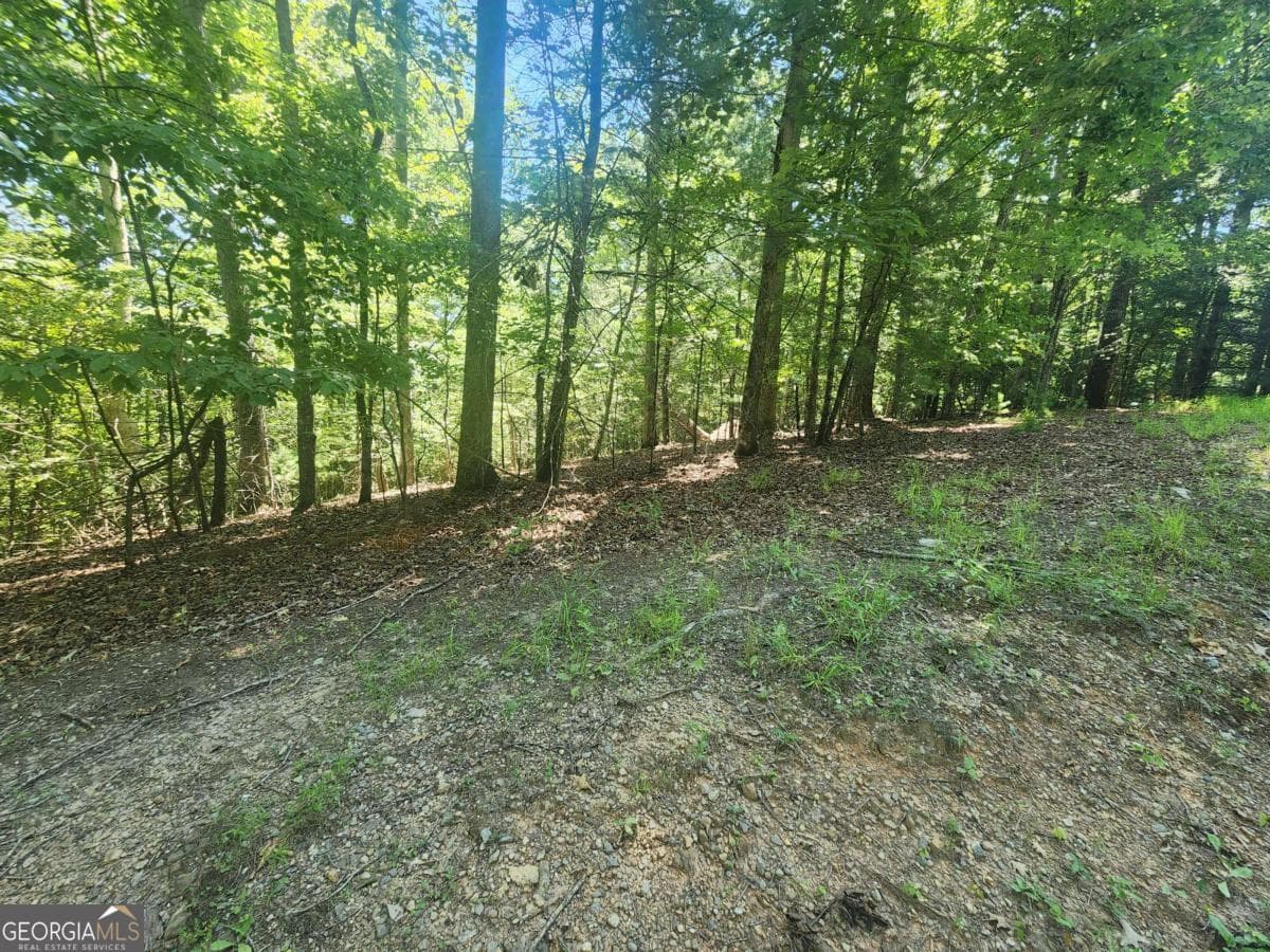 residential lot for sale at LOT 3 Meadow View Drive 3, Morganton, GA 30560 — photo 1 of 6