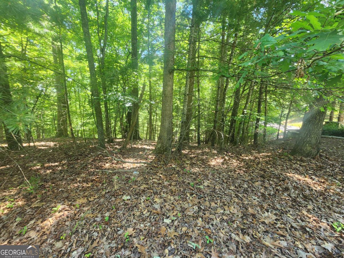 residential lot for sale at LOT 3 Meadow View Drive 3, Morganton, GA 30560 — photo 5