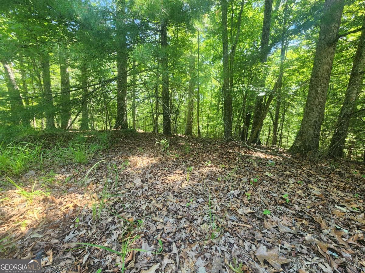 residential lot for sale at LOT 3 Meadow View Drive 3, Morganton, GA 30560 — photo 4