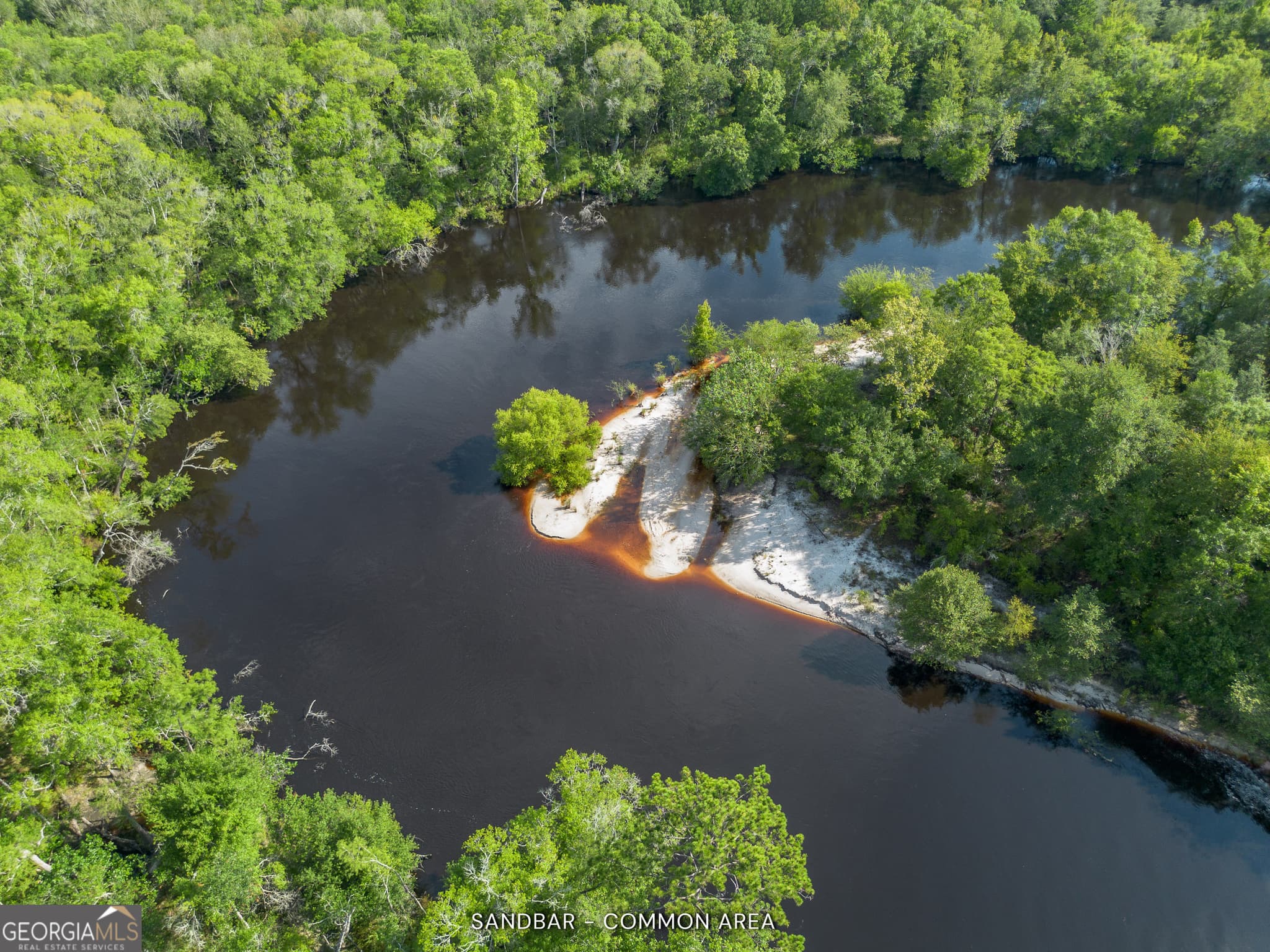 2 bedroom, 2 bathroom, 1,500 sq ft cabin,single family residence for sale at 1360 Douglas Fish Camp Road, White Oak, GA 31568 — photo 2
