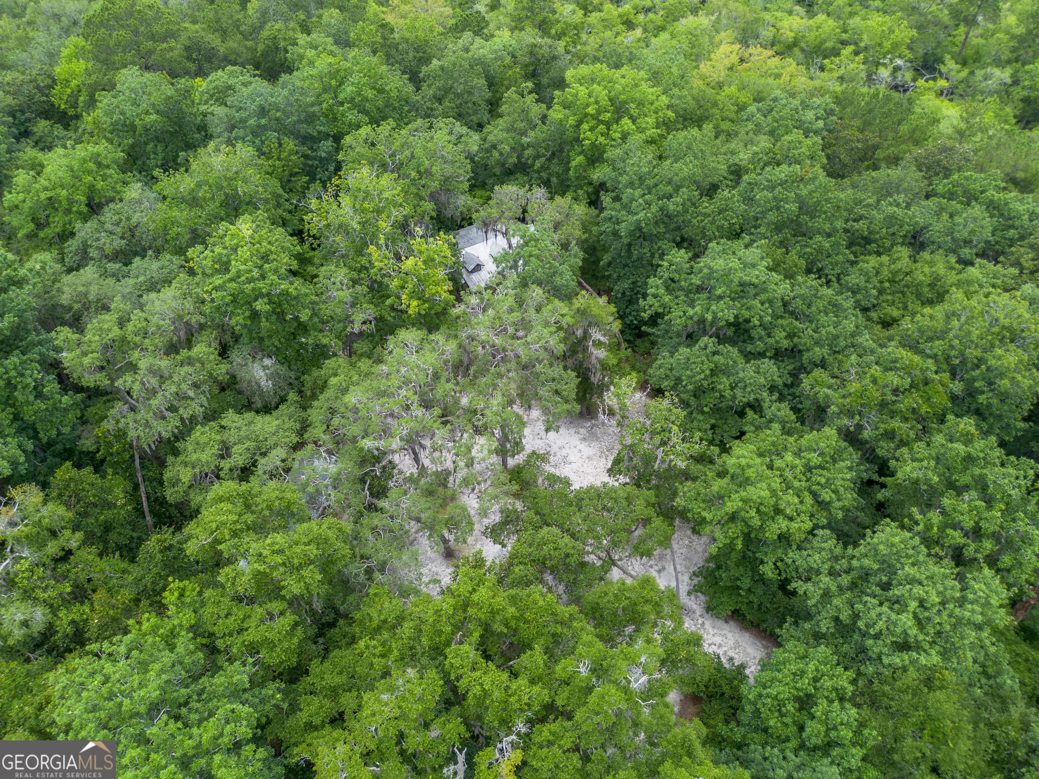 2 bedroom, 2 bathroom, 1,500 sq ft cabin,single family residence for sale at 1360 Douglas Fish Camp Road, White Oak, GA 31568 — photo 7