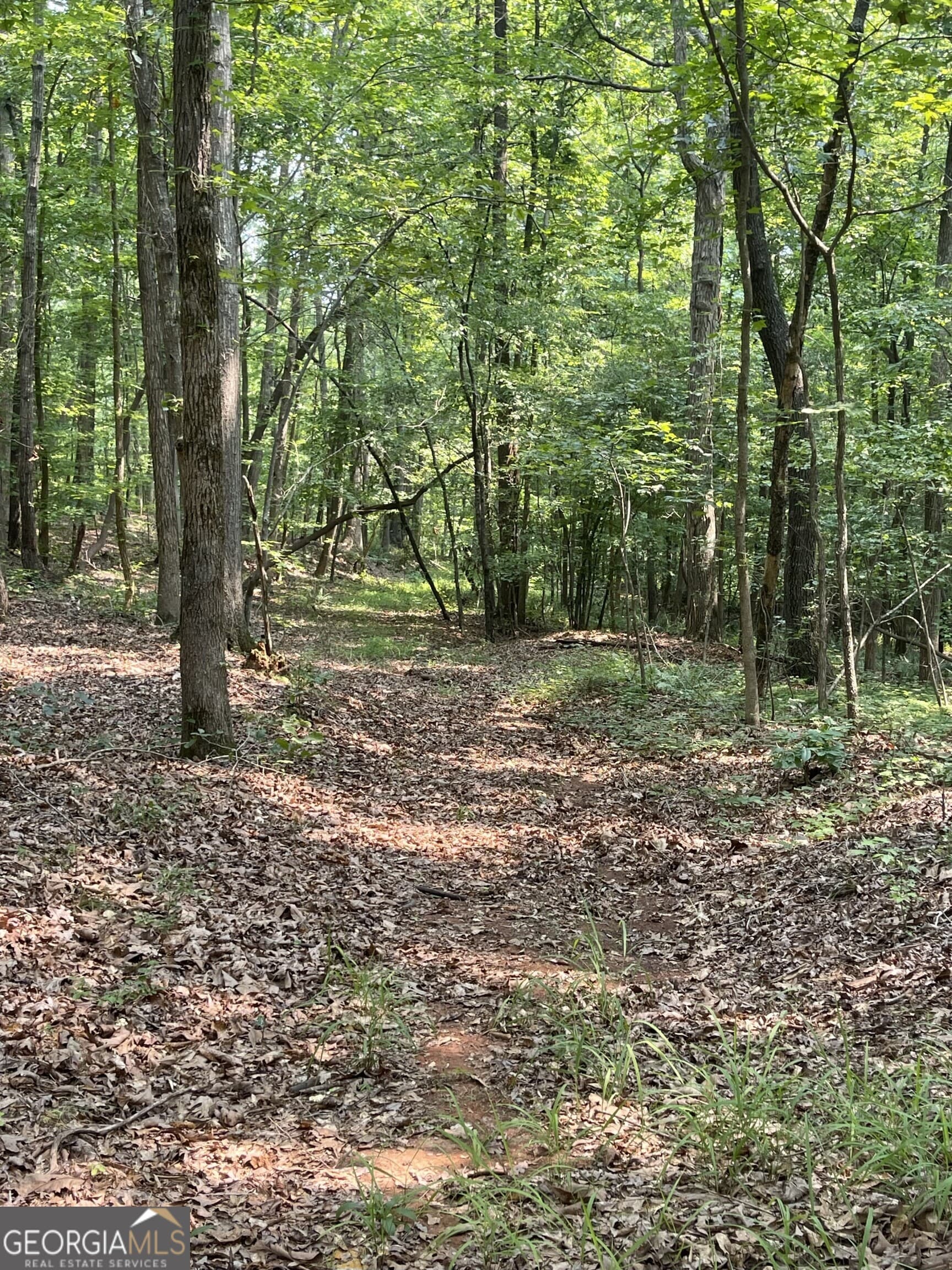 agriculture for sale at 5447 Winder Highway, Braselton, GA 30517 — photo 10