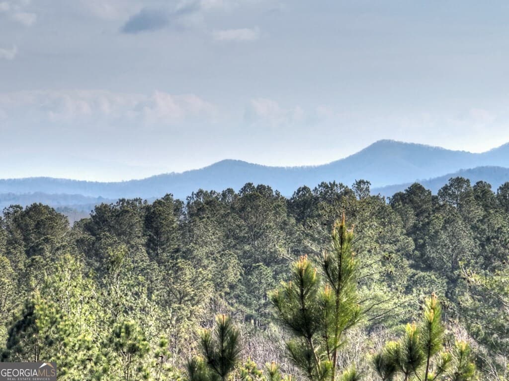 residential lot for sale at LOT 233 Ridge Pointe Way, Blairsville, GA 30512 — photo 2