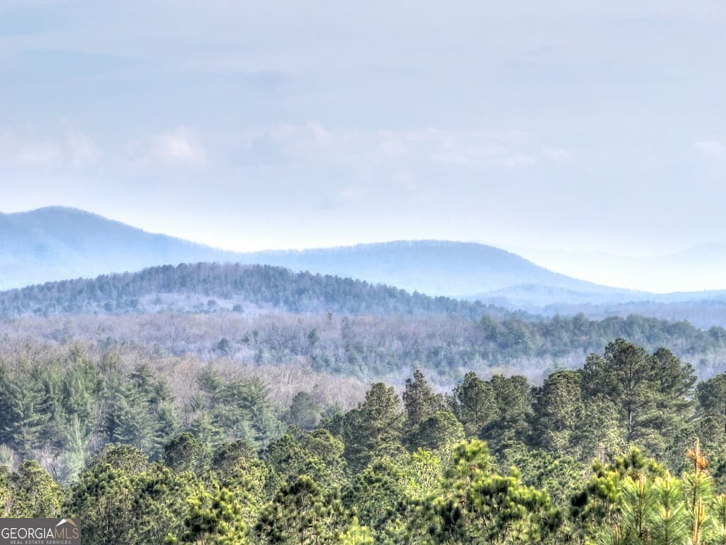 residential lot for sale at LOT 233 Ridge Pointe Way, Blairsville, GA 30512 — photo 6
