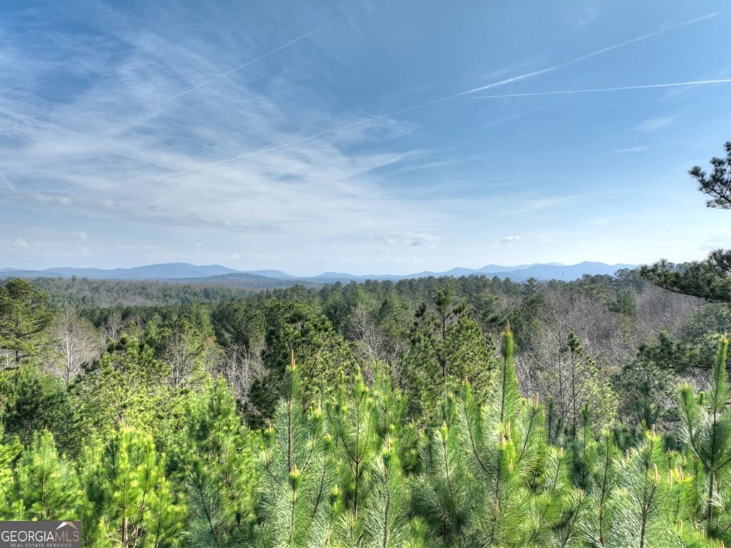 residential lot for sale at LOT 233 Ridge Pointe Way, Blairsville, GA 30512 — photo 7