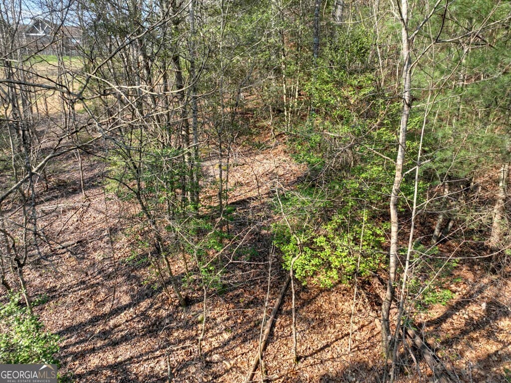 residential lot for sale at LOT 233 Ridge Pointe Way, Blairsville, GA 30512 — photo 3