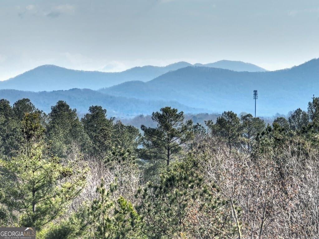 residential lot for sale at LOT 233 Ridge Pointe Way, Blairsville, GA 30512 — photo 5
