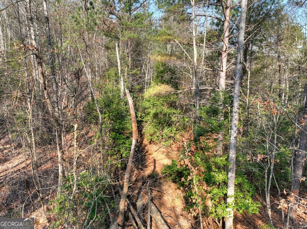 residential lot for sale at LOT 233 Ridge Pointe Way, Blairsville, GA 30512 — photo 9