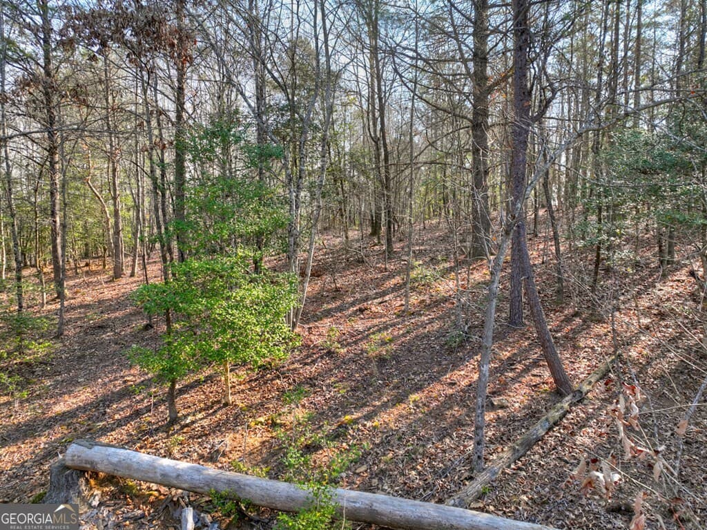 residential lot for sale at LOT 233 Ridge Pointe Way, Blairsville, GA 30512 — photo 10