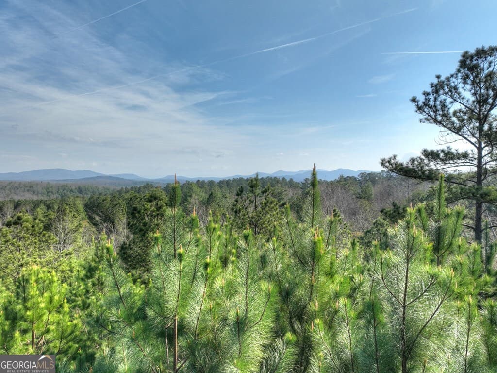 residential lot for sale at LOT 233 Ridge Pointe Way, Blairsville, GA 30512 — photo 4