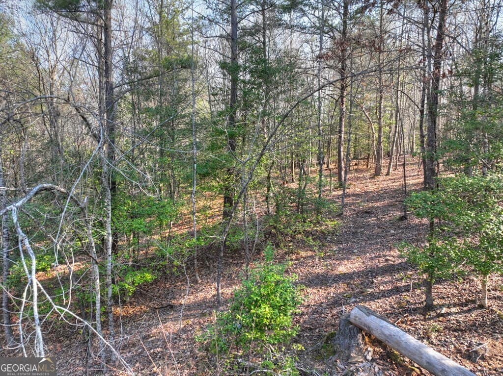 residential lot for sale at LOT 233 Ridge Pointe Way, Blairsville, GA 30512 — photo 8