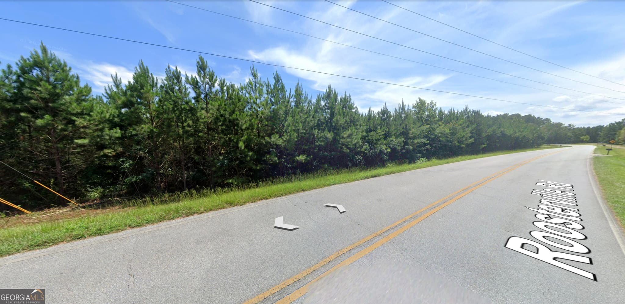 residential lot for sale at 0 Roosterville Road TRACT 3, Franklin, GA 30217 — photo 3