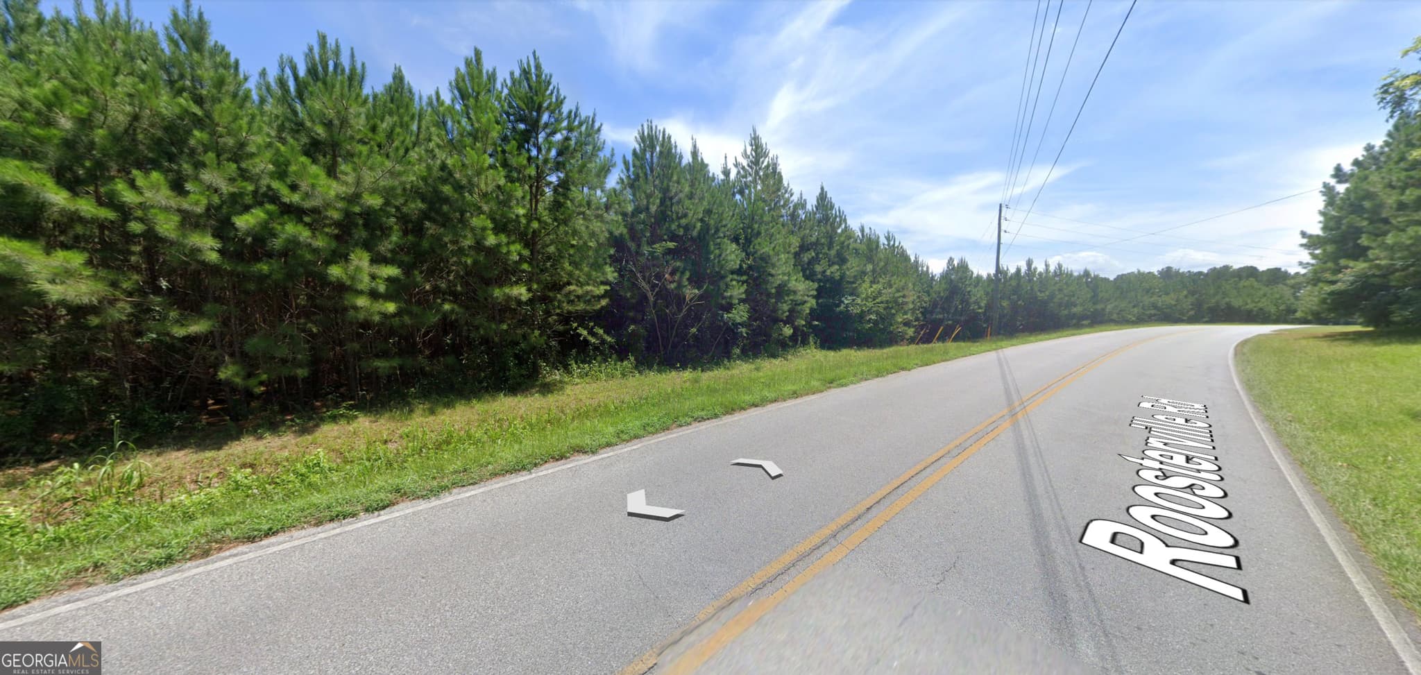 residential lot for sale at 0 Roosterville Road TRACT 3, Franklin, GA 30217 — photo 5