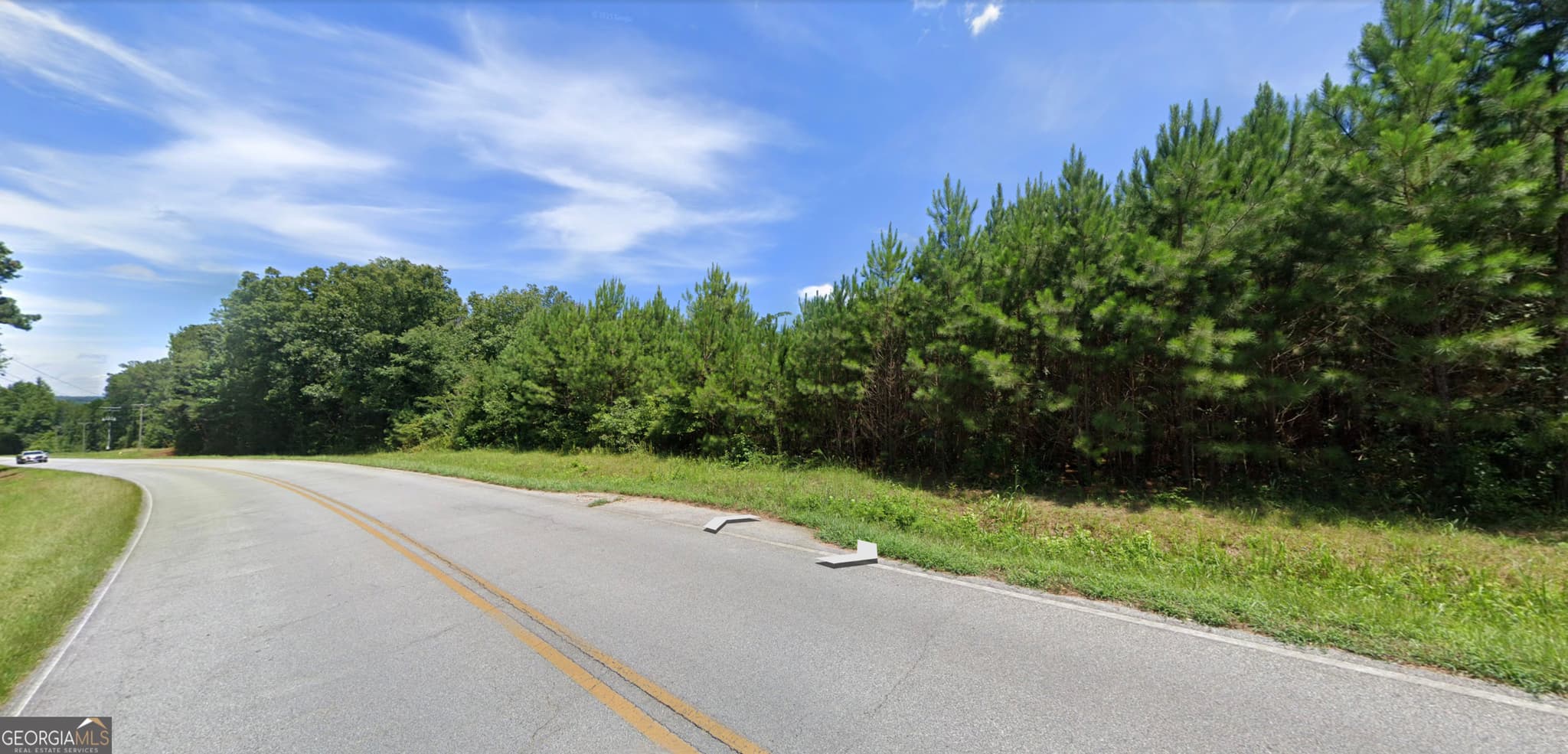 residential lot for sale at 0 Roosterville Road TRACT 3, Franklin, GA 30217 — photo 4