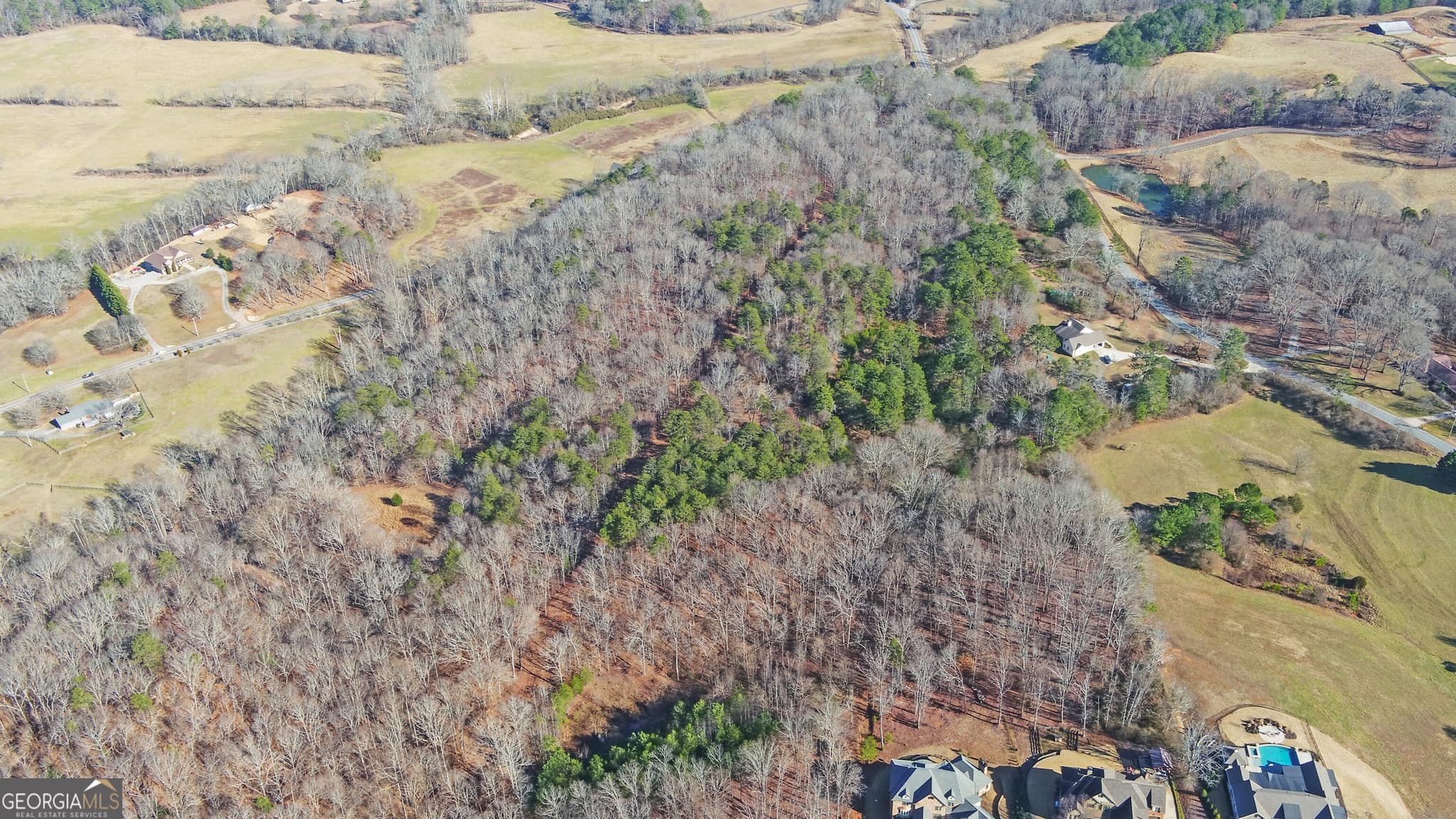 unimproved land for sale at 4431 Jim Hood Road, Gainesville, GA 30506 — photo 6