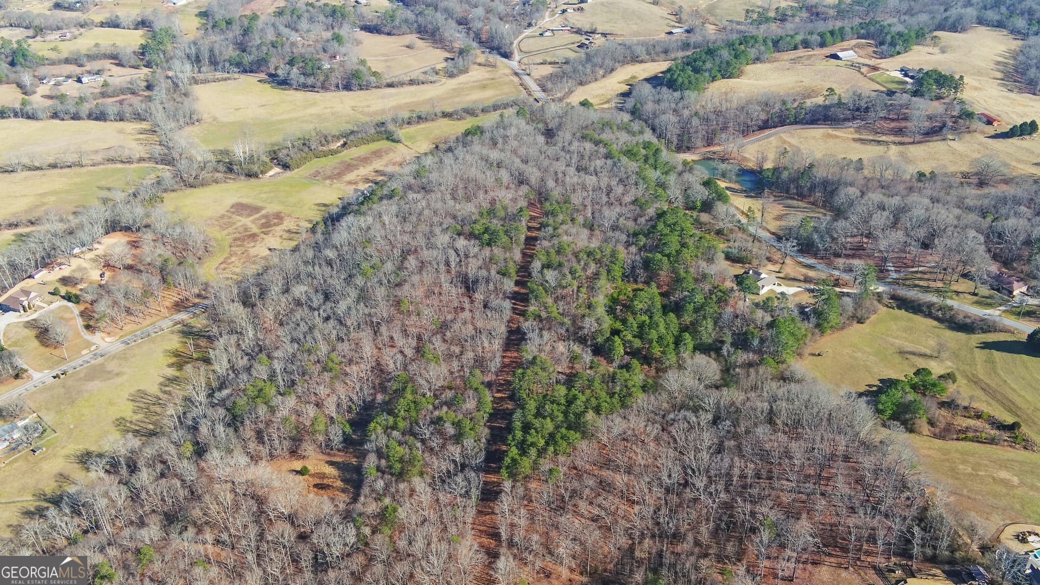 unimproved land for sale at 4431 Jim Hood Road, Gainesville, GA 30506 — photo 7