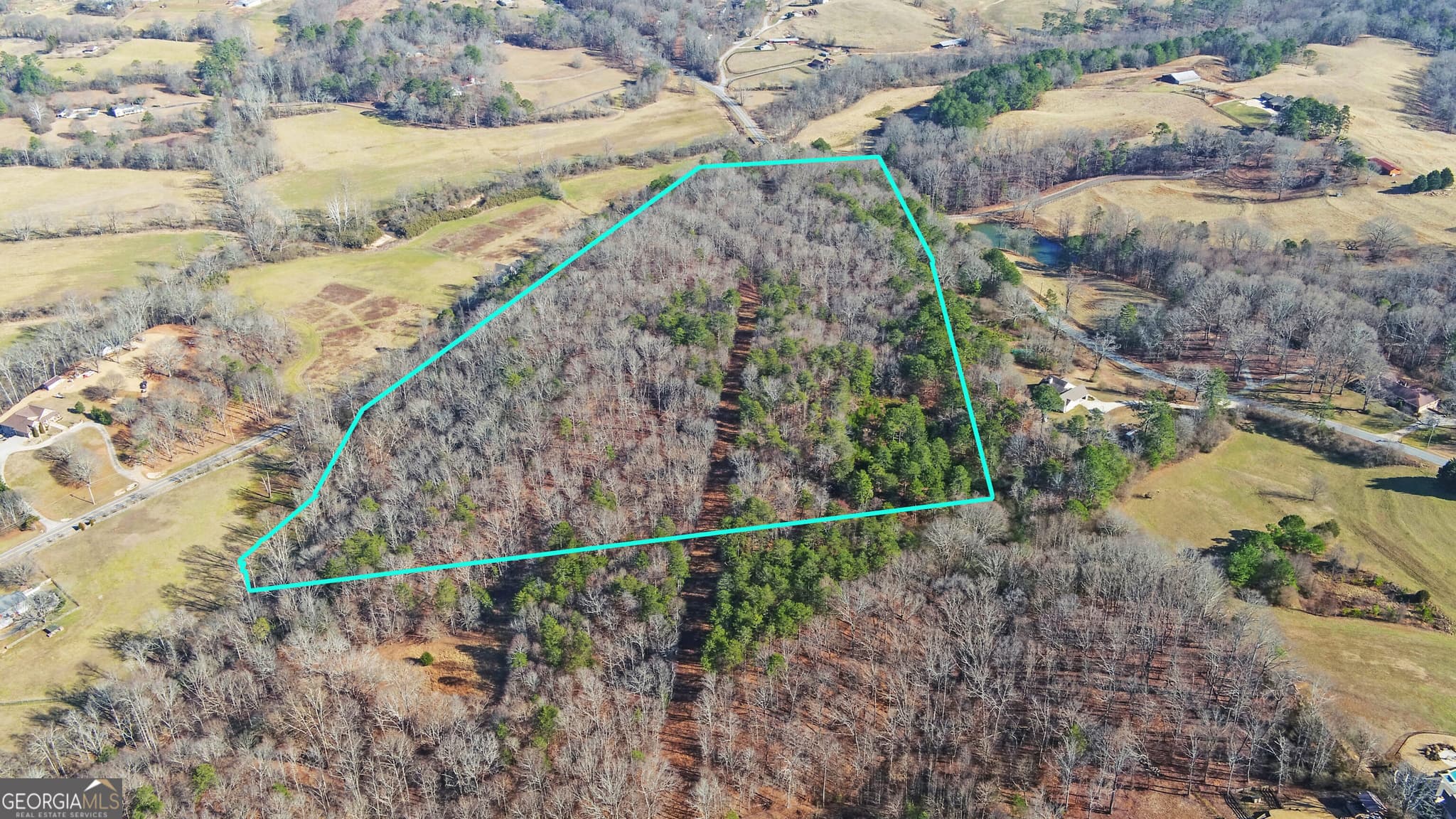 unimproved land for sale at 4431 Jim Hood Road, Gainesville, GA 30506 — photo 1 of 33