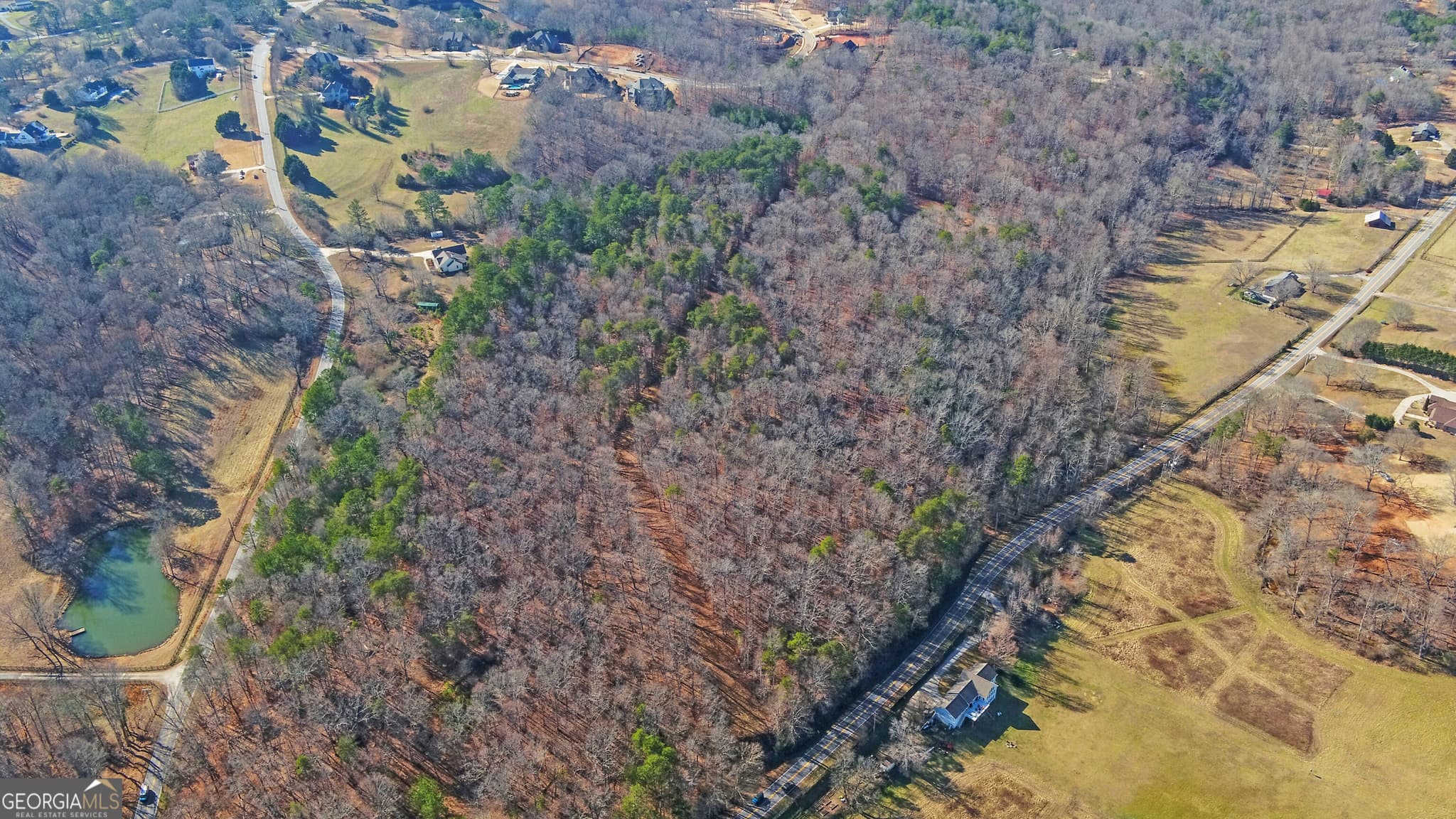 unimproved land for sale at 4431 Jim Hood Road, Gainesville, GA 30506 — photo 5