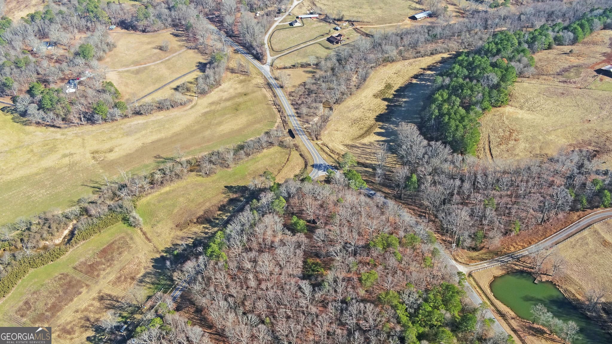 unimproved land for sale at 4431 Jim Hood Road, Gainesville, GA 30506 — photo 10