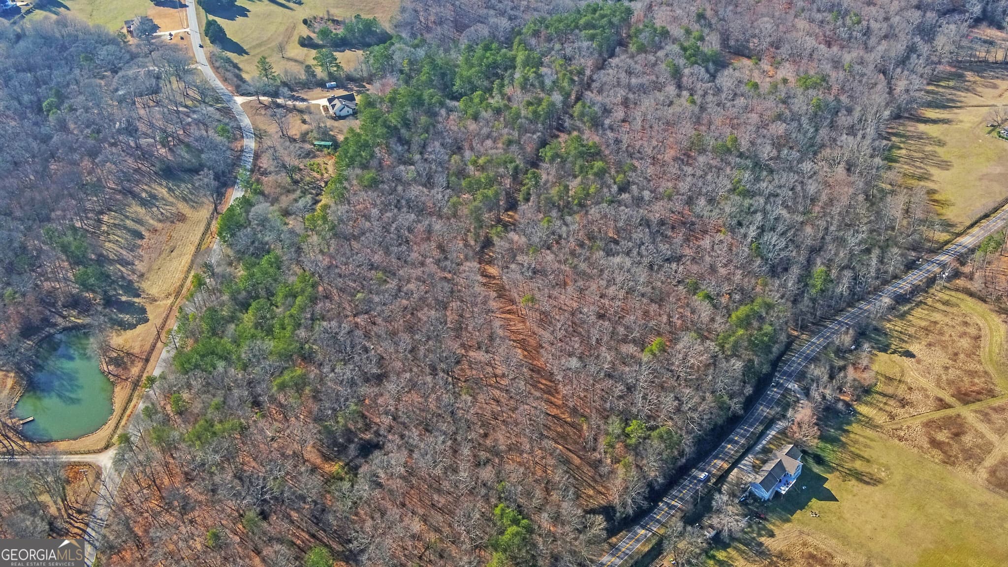unimproved land for sale at 4431 Jim Hood Road, Gainesville, GA 30506 — photo 4