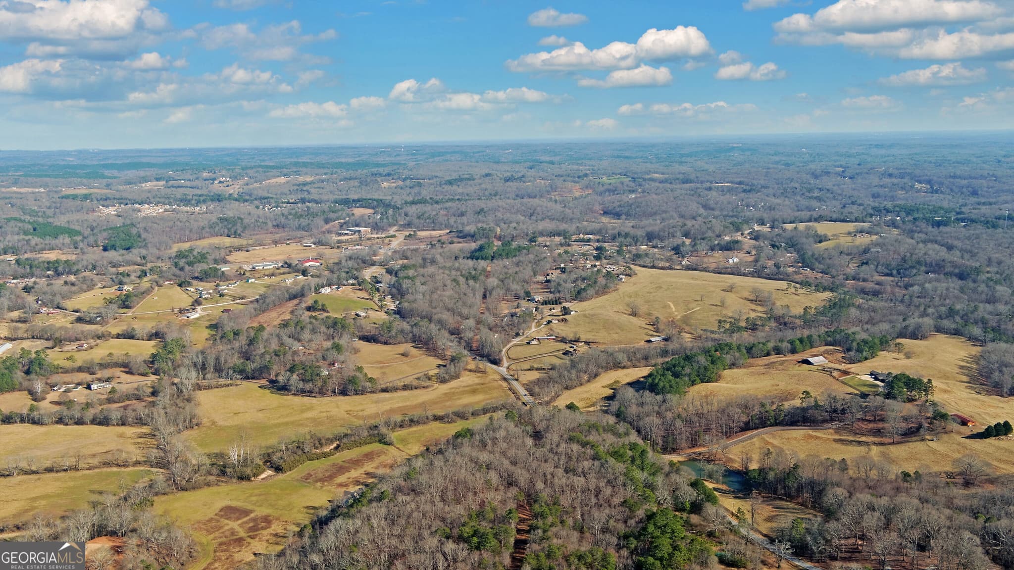 unimproved land for sale at 4431 Jim Hood Road, Gainesville, GA 30506 — photo 8