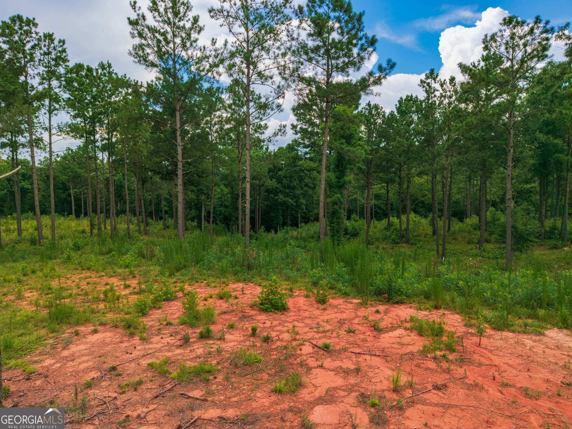 residential lot for sale at 143 Falls Lane 84, Milledgeville, GA 31061 — photo 7