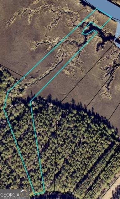unimproved land for sale at 0 James Lane, White Oak, GA 31568