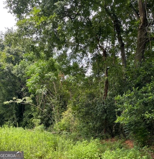 agriculture for sale at 0 Perkins Road, Barnesville, GA 30204 — photo 1 of 5