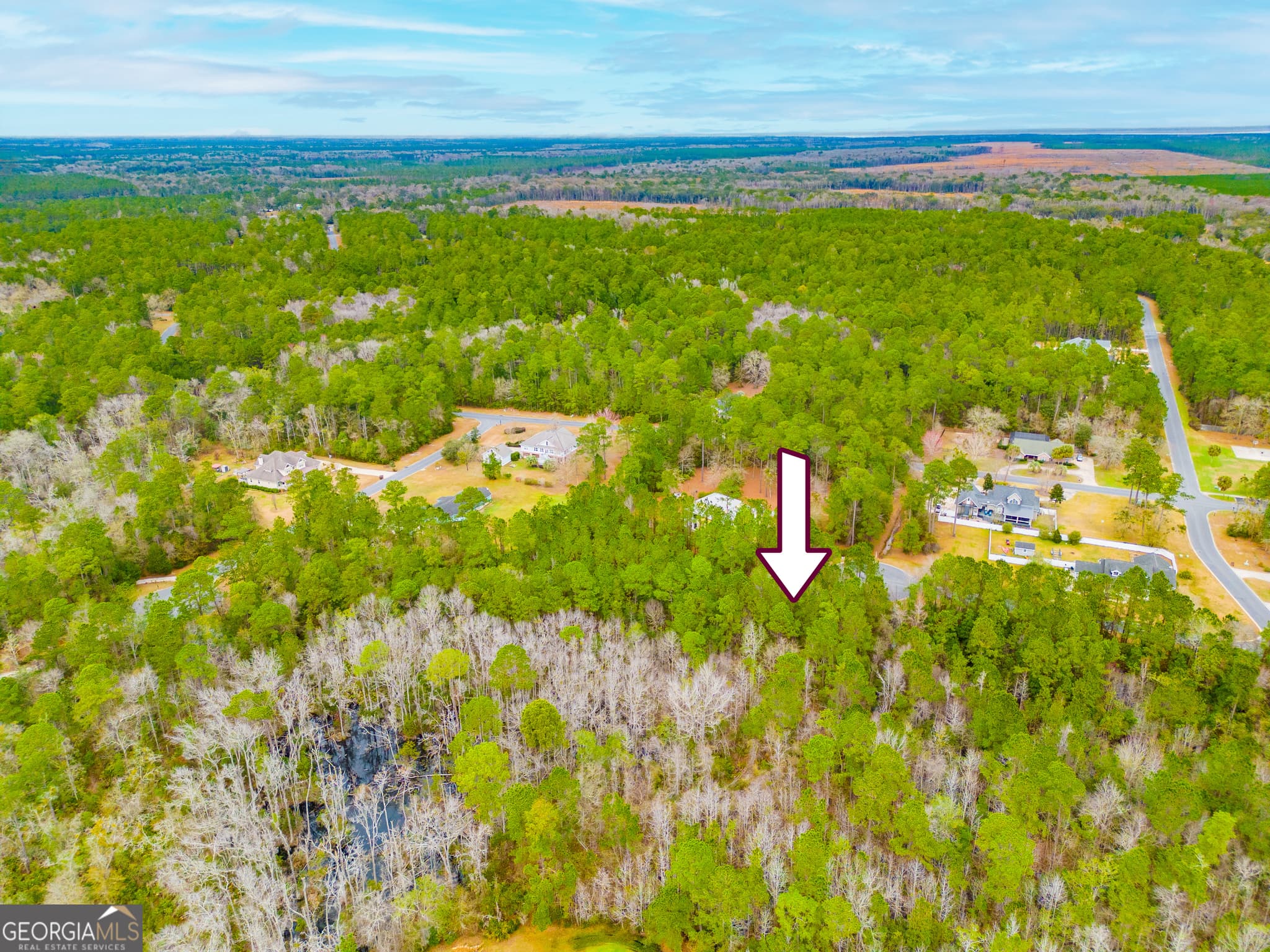 residential lot for sale at 0 yachtsman Court, Woodbine, GA 31569 — photo 2