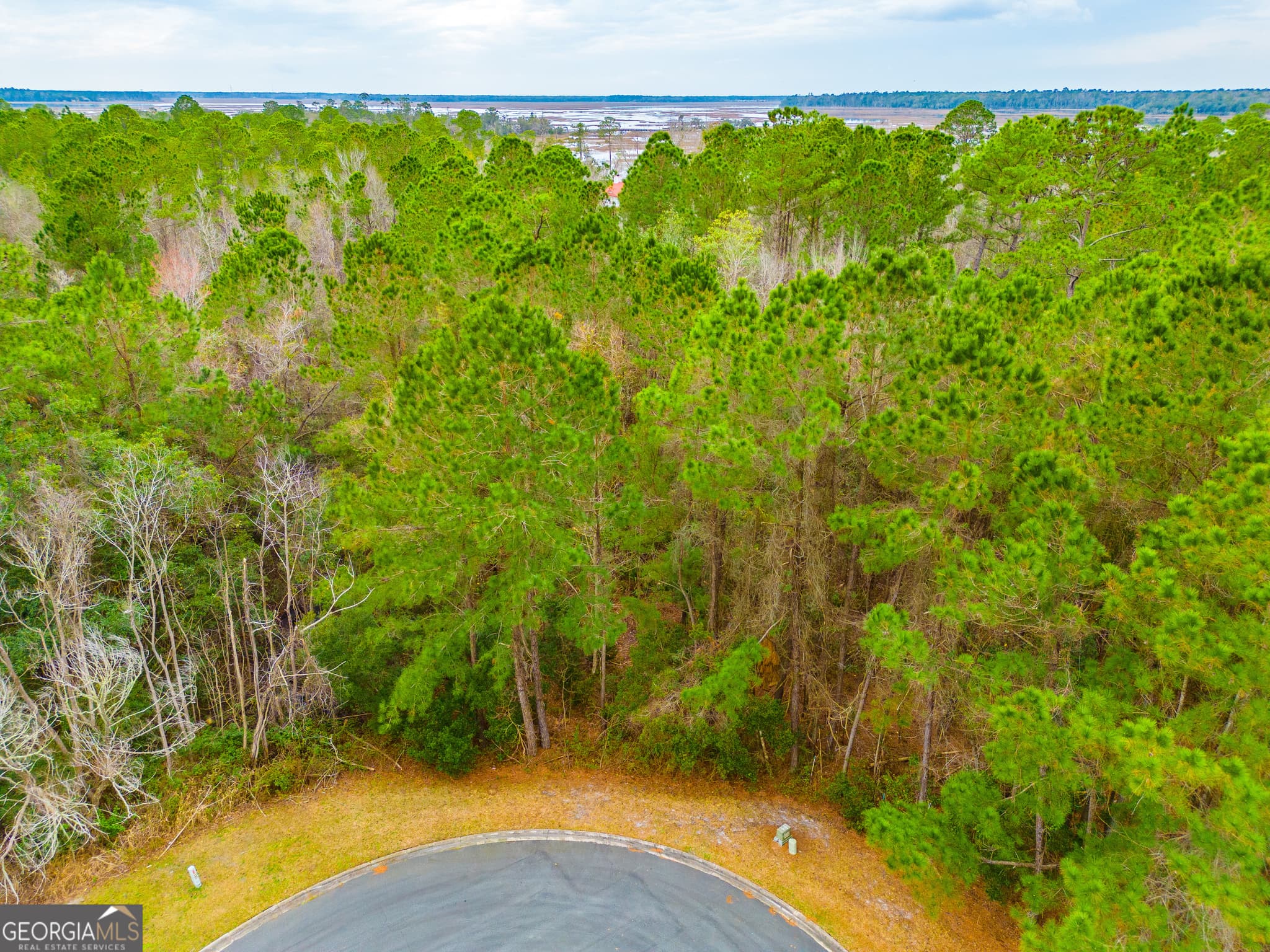 residential lot for sale at 0 yachtsman Court, Woodbine, GA 31569 — photo 4