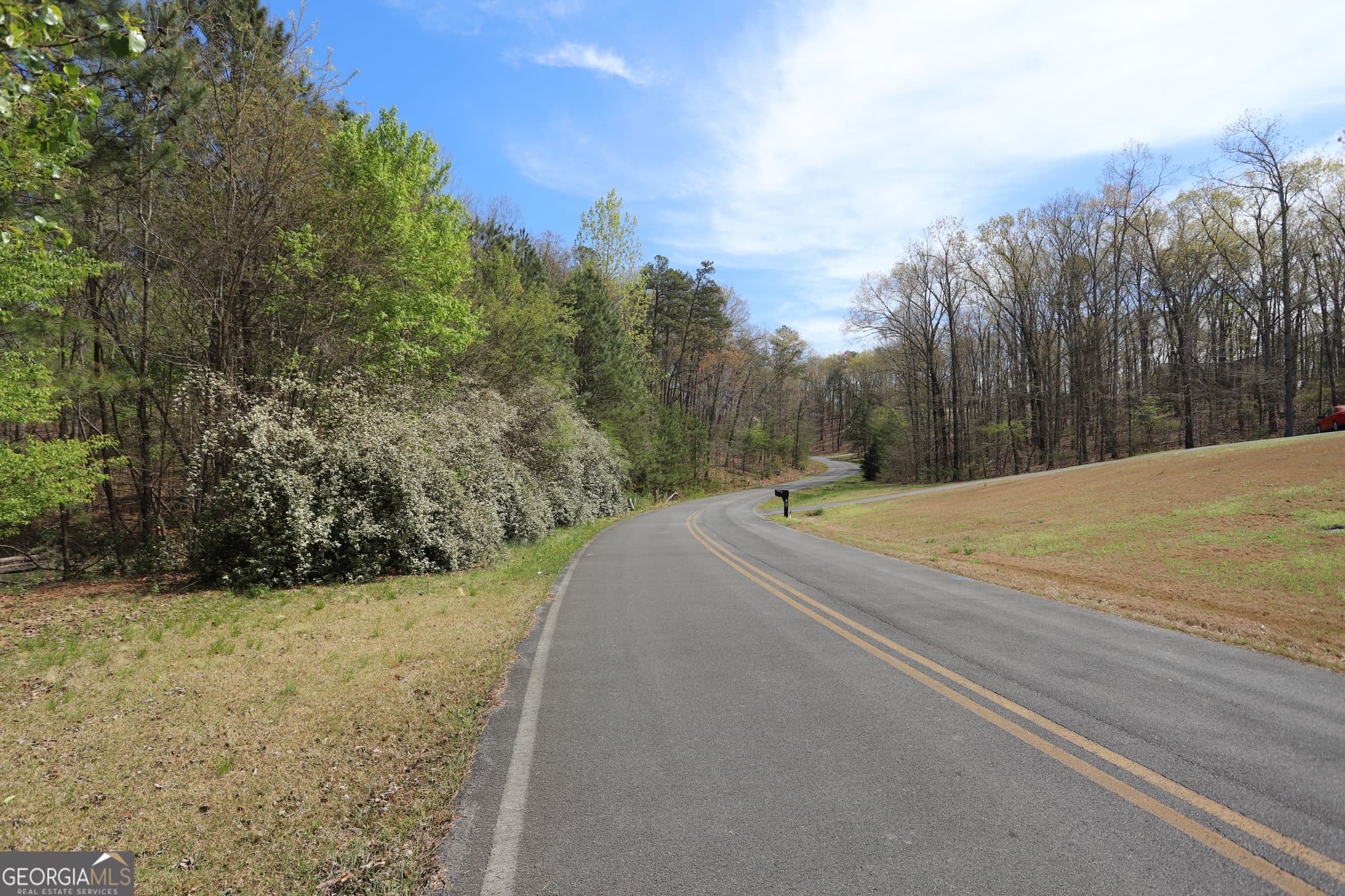 residential lot for sale at 0 Lake View Circle, Summerville, GA 30747 — photo 4