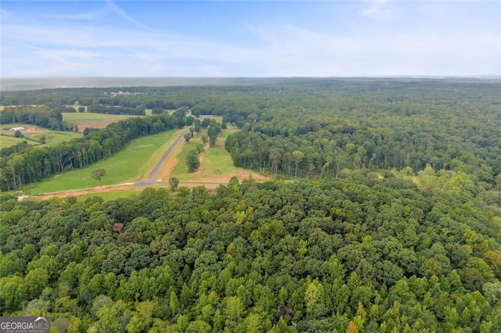 residential lot for sale at 551 River Trail Drive LOT #13, Monroe, GA 30655 — photo 7