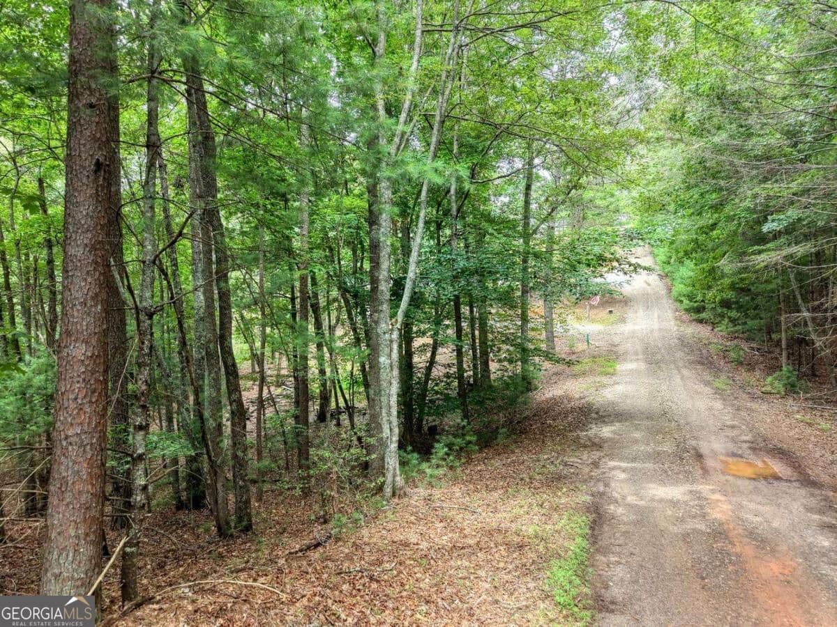residential lot for sale at 155 Atkins Trail, Blairsville, GA 30512 — photo 2